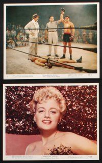 9p032 TENNESSEE CHAMP 12 color 8x10 stills '54 Shelley Winters, Keenan Wynn, Dewey Martin, boxing!