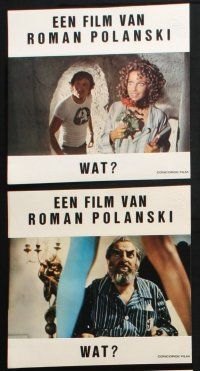 9r049 WHAT set of 16 color Dutch 9x9.25 stills '72 Marcello Mastroianni, Polanski comedy!