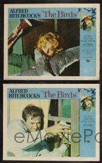 9s001 BIRDS 8 LCs '63 Alfred Hitchcock, Tippi Hedren, Rod Taylor, Tandy, classic horror images!