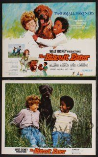 9s039 BISCUIT EATER 9 LCs '72 Earl Holliman, Patricia Crowley & Walt Disney dogs!