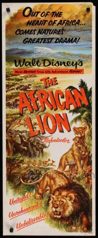 9w291 AFRICAN LION insert '55 Walt Disney jungle safari documentary, cool animal artwork!