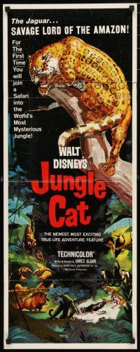 9w508 JUNGLE CAT insert '60 Disney, great artwork of jaguar, savage lord of the Amazon!