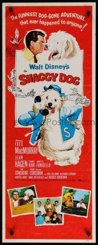 9w721 SHAGGY DOG insert '59 Disney, Fred MacMurray in the funniest sheep dog story ever told!