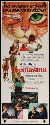 9w776 THREE LIVES OF THOMASINA insert '64 Walt Disney, great art of winking & smiling cat!