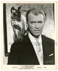 9y120 BELL, BOOK & CANDLE 8.25x10 still '58 James Stewart with Siamese cat on his shoulder!