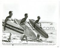 9y135 BIG WEDNESDAY 8x10.25 still '78 Gary Busey & surfers w/ boards, John Milius surfing classic!