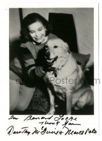 1a311 DOROTHY MCGUIRE signed 5x7 publicity photo '70s wonderful image smiling at her dog Marco Polo!