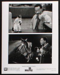 1b679 DOCTOR DOLITTLE presskit w/ 7 stills '98 Eddie Murphy, cool animal images and folder!