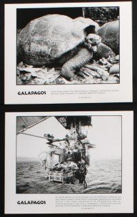 1b747 GALAPAGOS: THE ENCHANTED VOYAGE presskit w/ 6 stills '99 great diving images and animals!