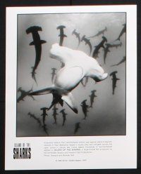 1b824 ISLAND OF THE SHARKS presskit w/ 5 stills '99 images of the big fish in the ocean, diving!