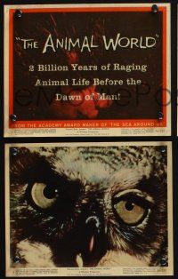 1e246 ANIMAL WORLD 3 color 8x10 stills '56 Ray Harryhausen & Willis O'Brien, cool octopus & owl!