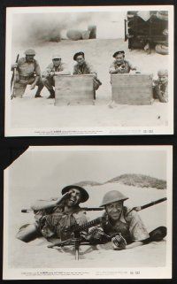 1e285 EL ALAMEIN 31 8x10 stills '53 Scott Brady & troops pummel Rommel in World War II!