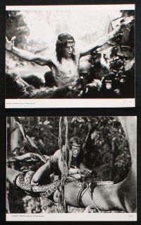 1e606 GREYSTOKE 10 8x10 stills '84 Christopher Lambert as Tarzan, Andie MacDowell!