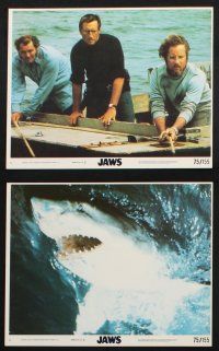 1e087 JAWS 8 8x10 mini LCs '75 Roy Scheider, Robert Shaw & Richard Dreyfuss, Lorraine Gary!