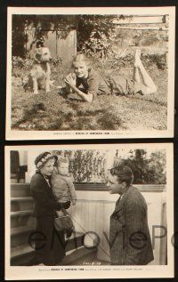 1e817 REBECCA OF SUNNYBROOK FARM 6 8x10 stills '32 great images of Marian Nixon & Ralph Bellamy!