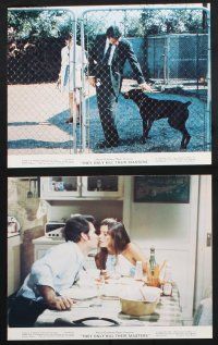 1e125 THEY ONLY KILL THEIR MASTERS 8 color 8x10 stills '72 James Garner, Katharine Ross!
