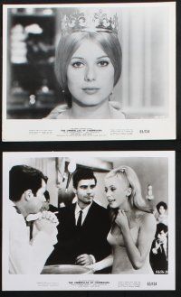 1e740 UMBRELLAS OF CHERBOURG 8 8x10 stills '65 sexy Catherine Deneuve, directed by Jacques Demy!