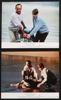 1e168 TURTLE DIARY 8 color English FOH LCs '85 great images of Ben Kingsley & Glenda Jackson!