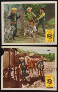 1g931 DOWN DAKOTA WAY 2 LCs '49 cowboys Roy Rogers & Pat Brady w/ bad guy, Trigger, dogs and calves