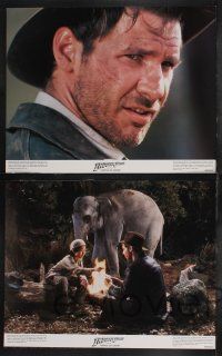 1g235 INDIANA JONES & THE TEMPLE OF DOOM 8 color 11x14 stills '84 Harrison Ford, Kate Capshaw!