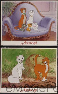 1g040 ARISTOCATS 8 LCs R87 Walt Disney feline jazz musical cartoon, great colorful images!