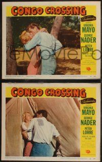 1g660 CONGO CROSSING 5 LCs '56 sexy Virginia Mayo & George Nader in African adventure!