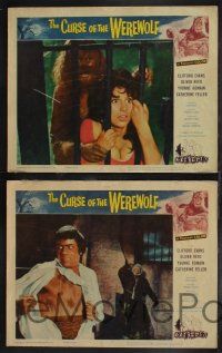 1g601 CURSE OF THE WEREWOLF 6 LCs '61 Hammer, Oliver Reed, Anthony Dawson, sexy Yvonne Romain!