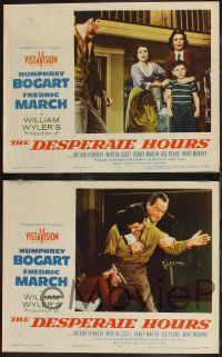 1g851 DESPERATE HOURS 3 LCs '55 Humphrey Bogart, Fredric March, Martha Scott, William Wyler!