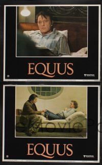 1g143 EQUUS 8 LCs '77 Richard Burton, Jenny Agutter, Peter Firth, directed by Sidney Lumet!
