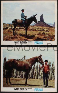 1g760 HANG YOUR HAT ON THE WIND 4 LCs '69 Disney western, images of boy w/ his horse & donkey!