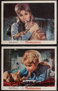 1g819 THREE LIVES OF THOMASINA 4 LCs '64 Walt Disney, cool images of cat with Hampshire, kids!