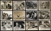1h212 LOT OF 15 8X10 STILLS FROM TARZAN MOVIES '50s-80s Johnny Weissmuller, Maureen O'Sullivan