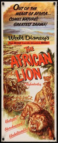1j429 AFRICAN LION insert '55 Walt Disney jungle safari documentary, cool animal artwork!