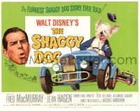 1r350 SHAGGY DOG TC R67 Disney, Fred MacMurray in the funniest sheep dog story ever told!