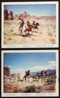 1x077 FLAME OF ARABY 4 color 8x10 stills '51 images of horses & action, out of the vast Sahara!