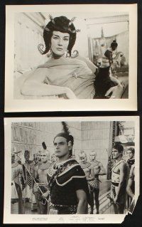 2k408 AIDA 10 8x10 stills '54 great images of sexy Sophia Loren in Verdi's Italian opera!