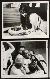 2k273 CLEOPATRA 15 8x10 stills '63 Elizabeth Taylor, Rex Harrison as Julius Caesar, more!