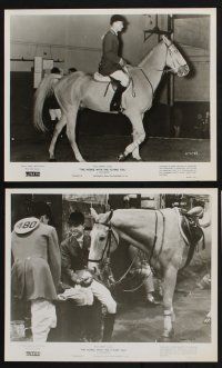 2k697 HORSE WITH THE FLYING TAIL 6 8x10 stills '60 Walt Disney Olympic Equestrian Team documentary!