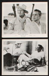 2k785 LEGEND OF THE LOST 5 8x10 stills '57 John Wayne, sexy Sophia Loren, Rossano Brazzi