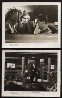 2k435 LIGHTNIN' IN THE FOREST 10 8x10 stills '48 Lynne Roberts, Donald Barry, Adrian Booth