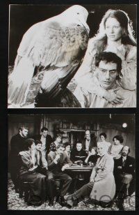 2k801 SEAGULL 5 stage play 7.5x9.25 stills '73 Anton Chekhov's play, Jacqueline Bennett!