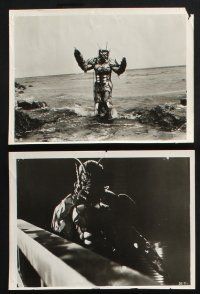 2k723 SHE-CREATURE 6 8x10 stills '56 Tom Conway, wacky images of the wild monster from Hell!