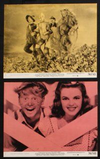2k095 THAT'S ENTERTAINMENT 8 8x10 mini LCs '74 best scenes from classic MGM Hollywood movies!