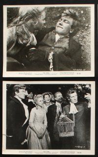 2k738 TOM JONES 6 8x10 stills '63 Albert Finney in the title role romancing pretty Joan Greenwood!