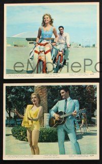 2k098 VIVA LAS VEGAS 8 color 8x10 stills '64 great images of Elvis Presley & sexy Ann-Margret !