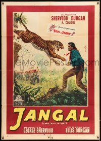 2p144 BIG HUNT Italian 1p '59 different Enzo Nistri art of tiger attacking man in the jungle!
