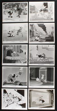 2r279 LOT OF 16 WALT DISNEY 1950S TELEVISION RE-RELEASE 8X10 STILLS '50s Mickey & Donald cartoons!