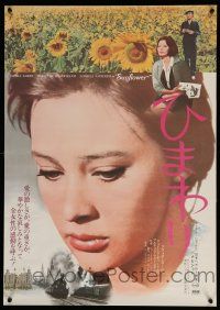 2s716 SUNFLOWER Japanese R74 Vittorio De Sica's I Girasoli, Sophia Loren, Marcello Mastroianni!