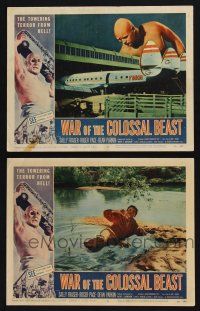 2x214 WAR OF THE COLOSSAL BEAST 2 LCs '58 giant man looks down at TWA airplane at airport!