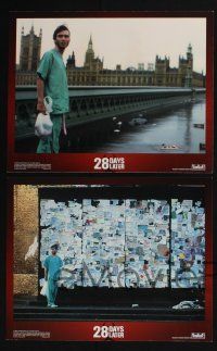 3d042 28 DAYS LATER 8 LCs '03 Cillian Murphy vs. zombies in London, directed by Danny Boyle!